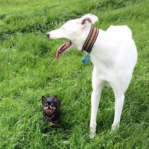 Meet your Posher, Tracy